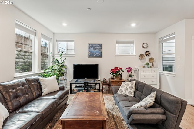 living room with hardwood / wood-style flooring and a healthy amount of sunlight