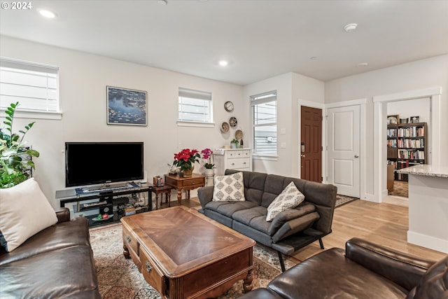 living room featuring light hardwood / wood-style flooring