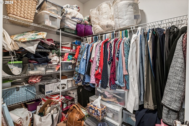 view of spacious closet