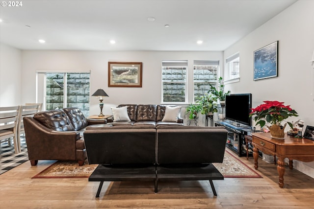 living room featuring wood-type flooring and plenty of natural light