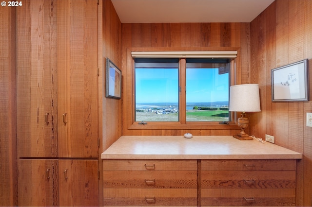 bathroom with wooden walls