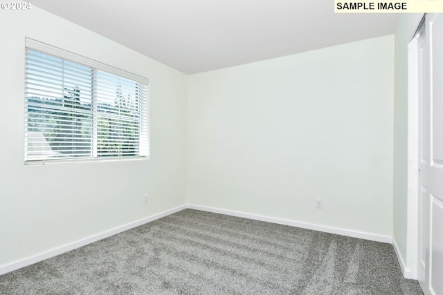 empty room featuring carpet floors