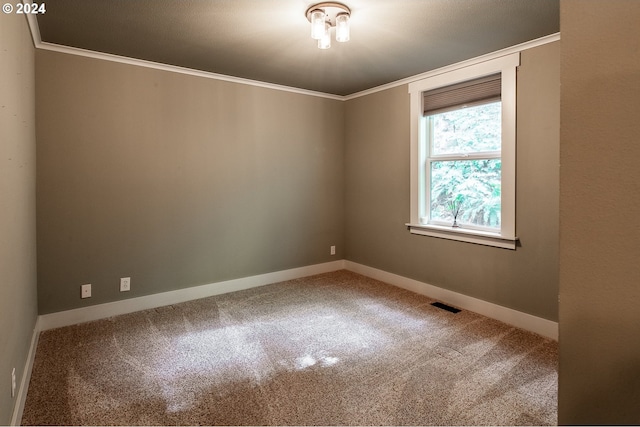 spare room with crown molding and carpet floors