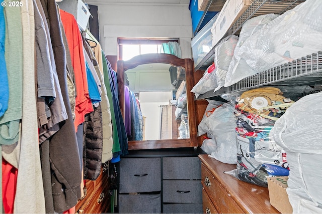 view of spacious closet