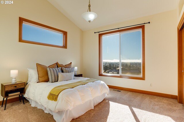 bedroom featuring carpet flooring and lofted ceiling