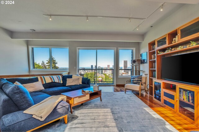 living room with hardwood / wood-style flooring and track lighting