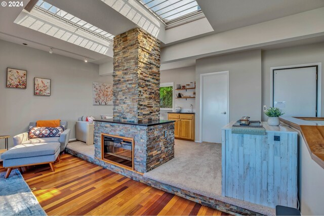 living room with a skylight, track lighting, and light hardwood / wood-style floors