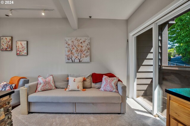 carpeted living room with beamed ceiling and track lighting