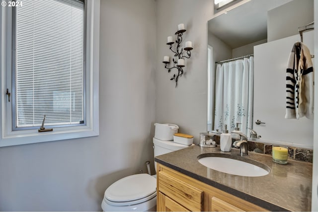 bathroom with toilet and vanity