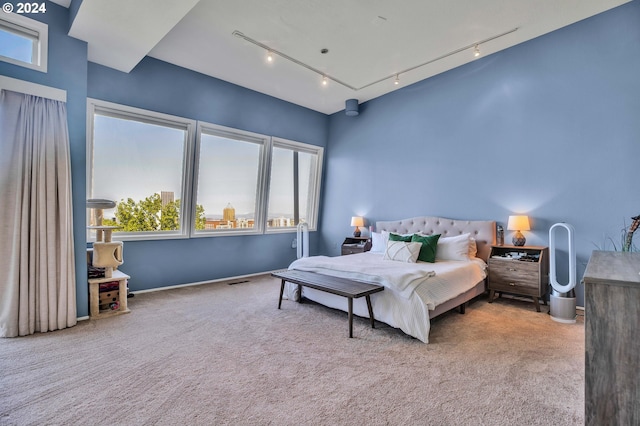 carpeted bedroom with rail lighting