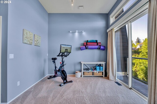 workout area with plenty of natural light and carpet