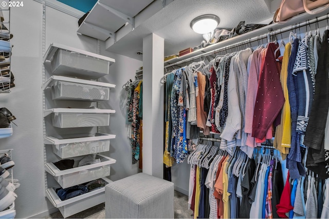 walk in closet with carpet floors