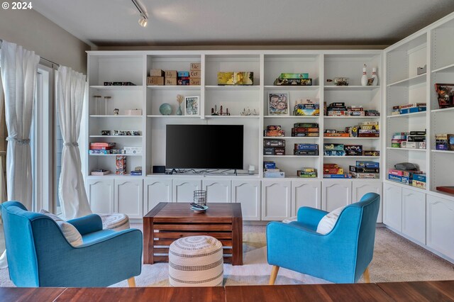 living room featuring light carpet and rail lighting