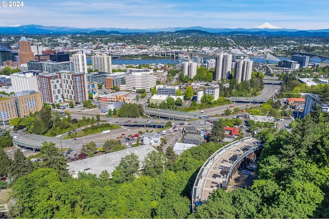 birds eye view of property featuring a water and mountain view