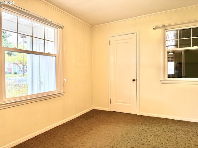 carpeted empty room featuring ornamental molding