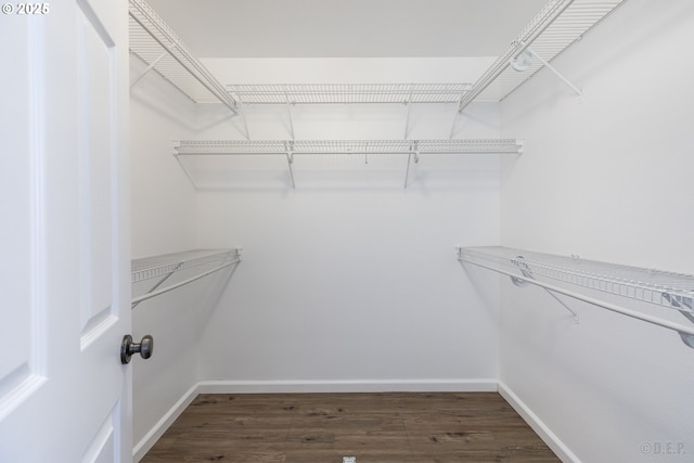 walk in closet featuring dark hardwood / wood-style floors