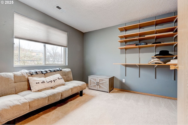 living area featuring carpet floors and a textured ceiling