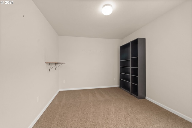 spacious closet featuring carpet flooring