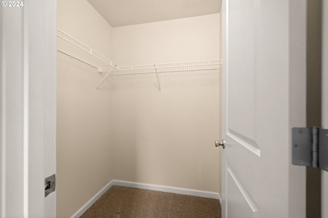 walk in closet with carpet floors