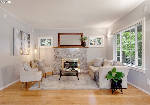 3329 SE Steele St, Portland, OR 97202 - living area featuring wood finished floors and a stone fireplace