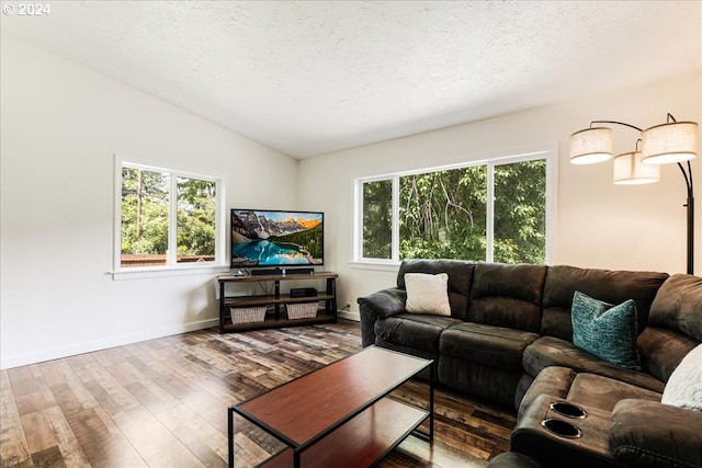 living room with a textured ceiling, wood-type flooring, and lofted ceiling