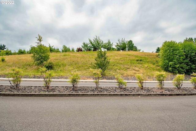 view of yard with a rural view