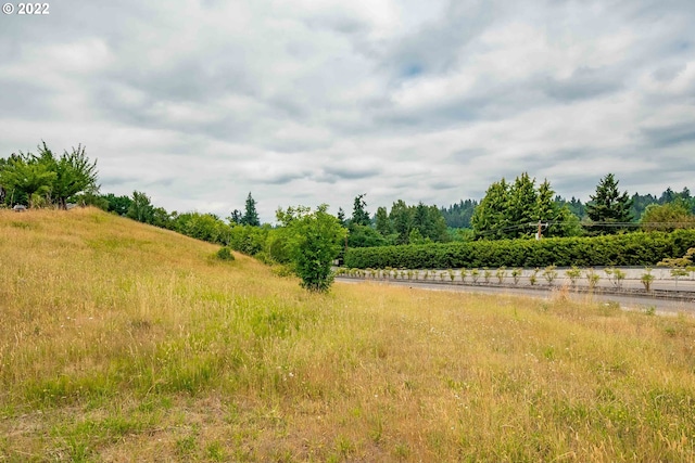 view of nature featuring a rural view