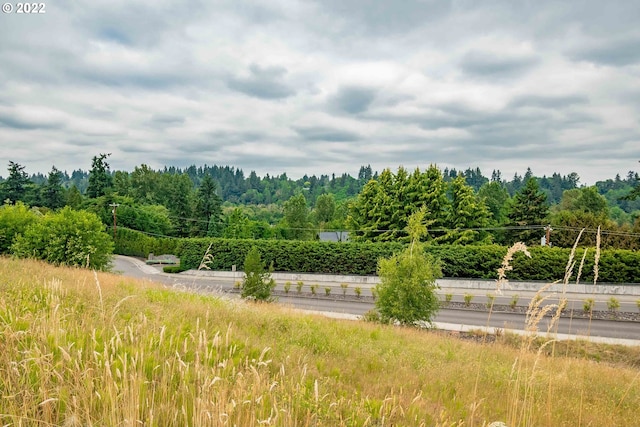 view of surrounding community