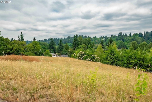 view of local wilderness