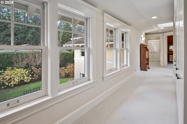 hall featuring carpet