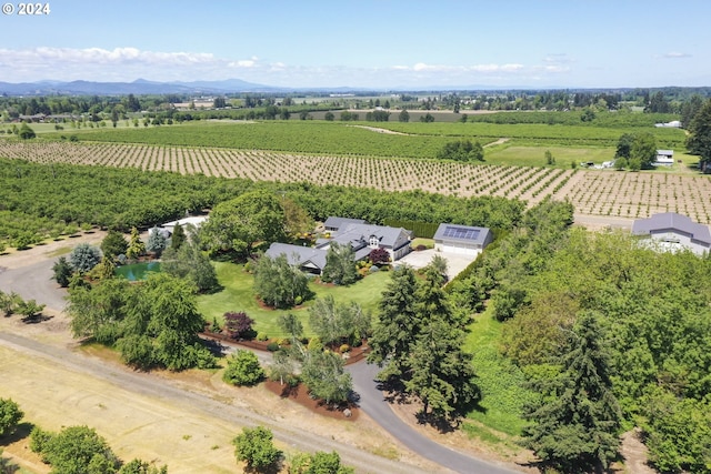 birds eye view of property featuring a mountain view and a rural view