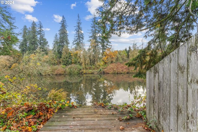 dock area with a water view