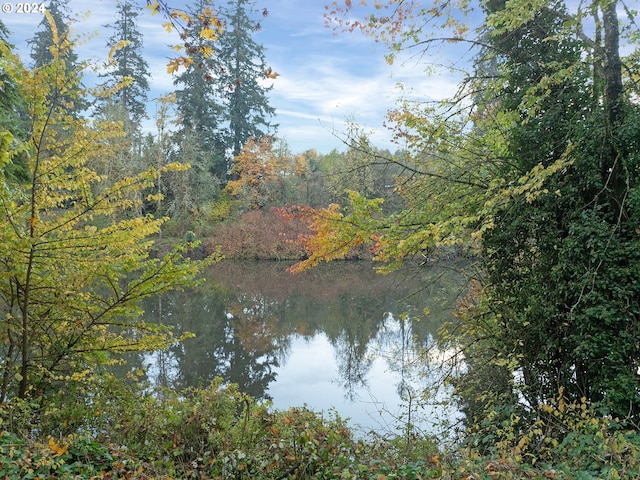 view of water feature