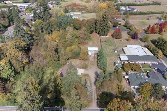 drone / aerial view
