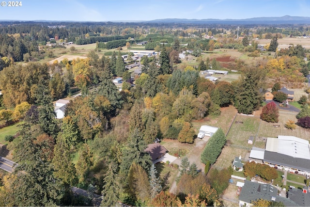 bird's eye view with a forest view