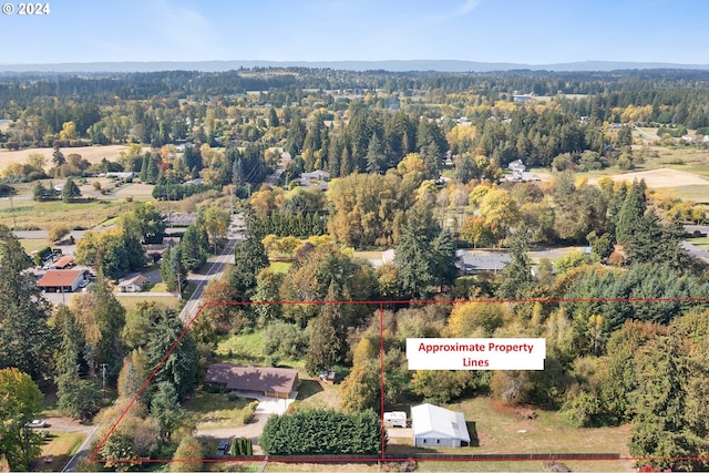 bird's eye view featuring a forest view