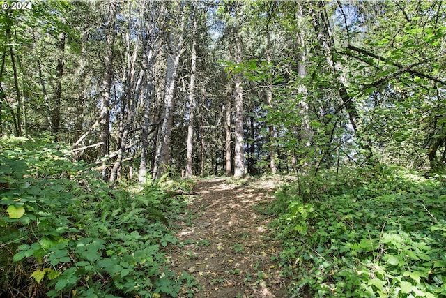 view of nature with a forest view