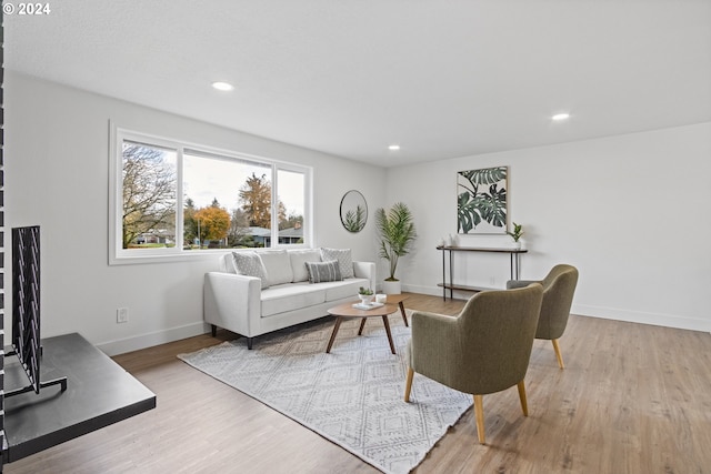 living room featuring light wood-type flooring