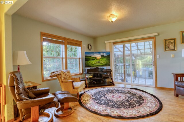 living area with light hardwood / wood-style floors