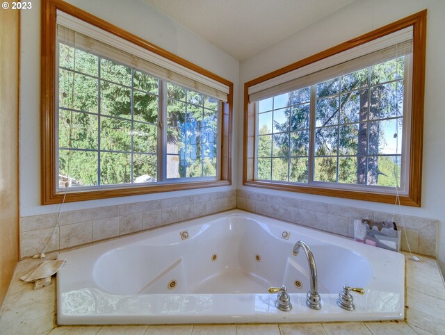 bathroom with a wealth of natural light