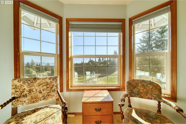 living area with a wealth of natural light