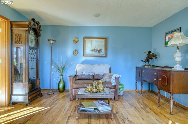 living room featuring light wood-type flooring