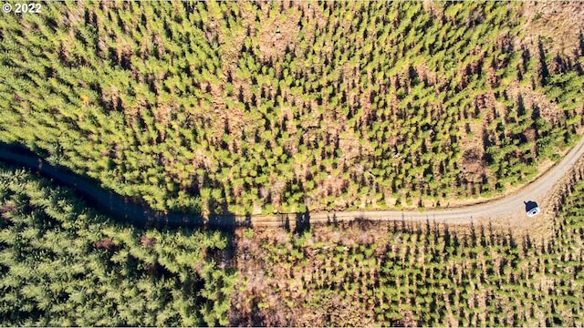 4 NE Jones Rd, Camas, WA 98607