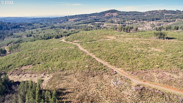 4 NE Jones Rd, Camas, WA 98607