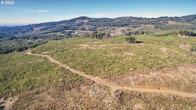 4 NE Jones Rd, Camas, WA 98607