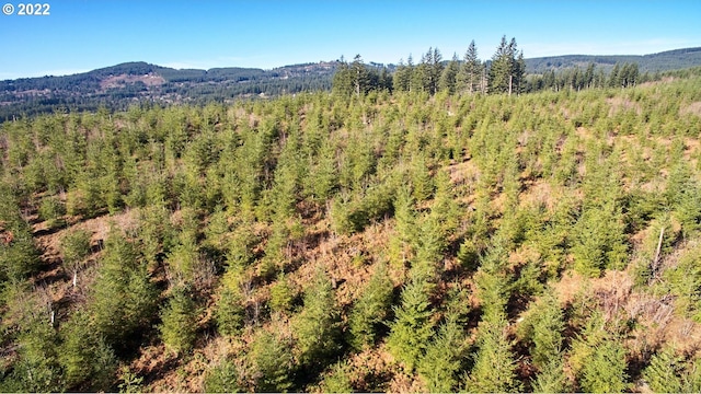 4 NE Jones Rd, Camas, WA 98607