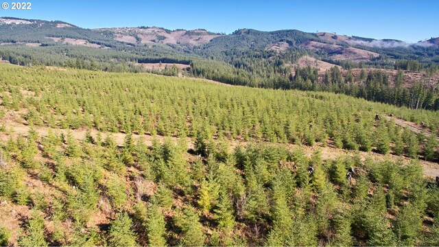 4 NE Jones Rd, Camas, WA 98607