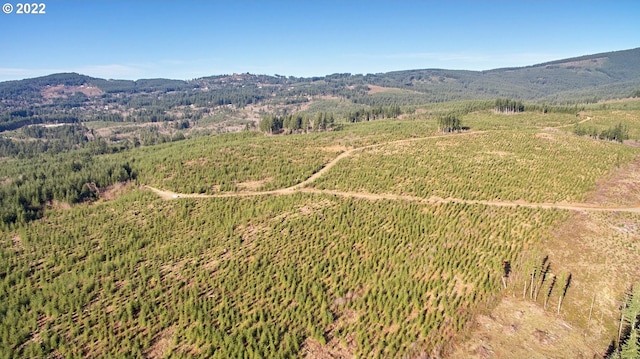 4 NE Jones Rd, Camas, WA 98607