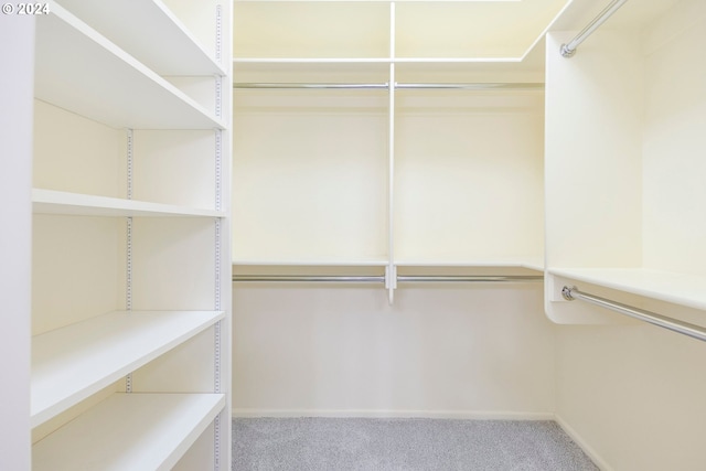 walk in closet featuring carpet floors