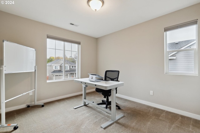 office space with carpet floors